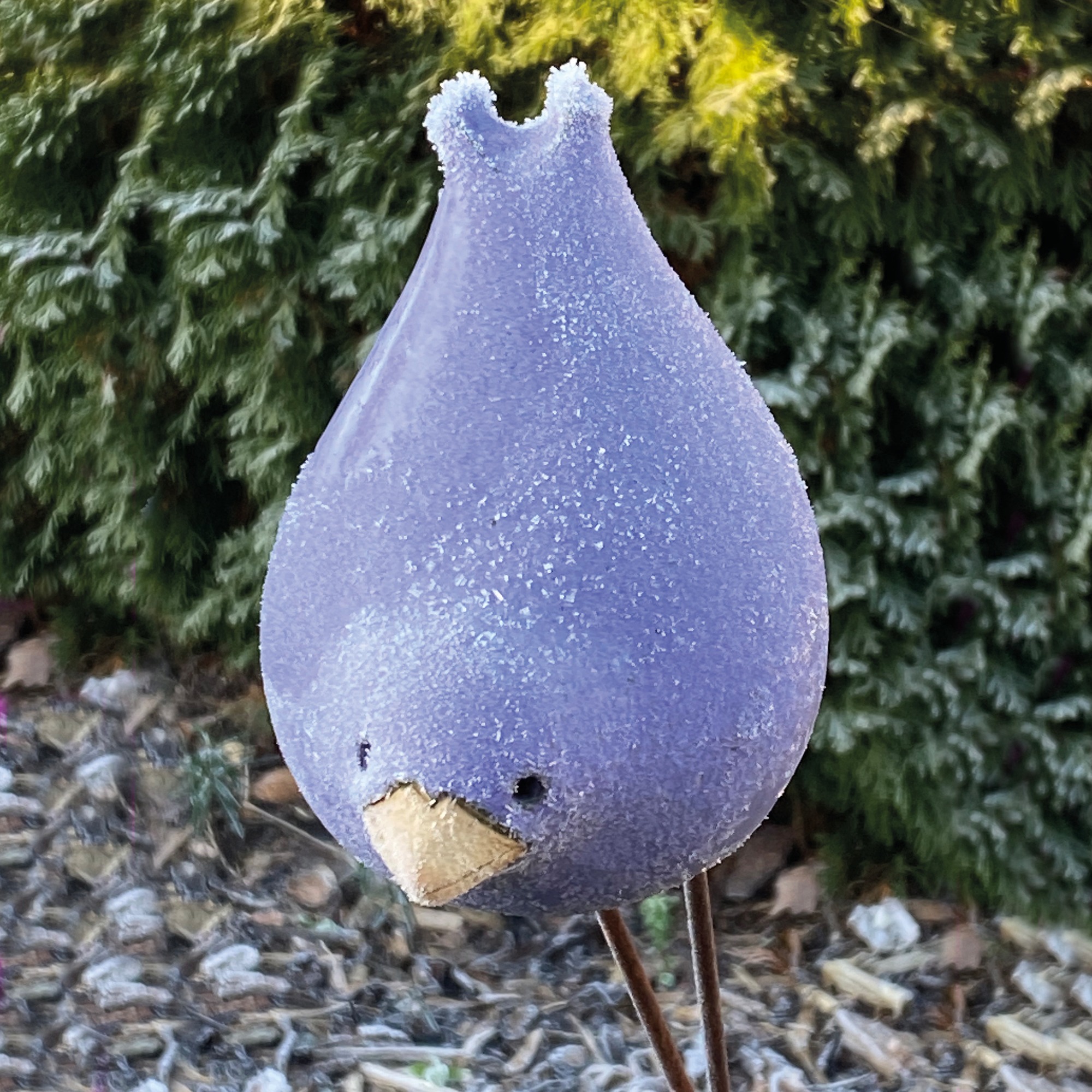Bunte Drossel
