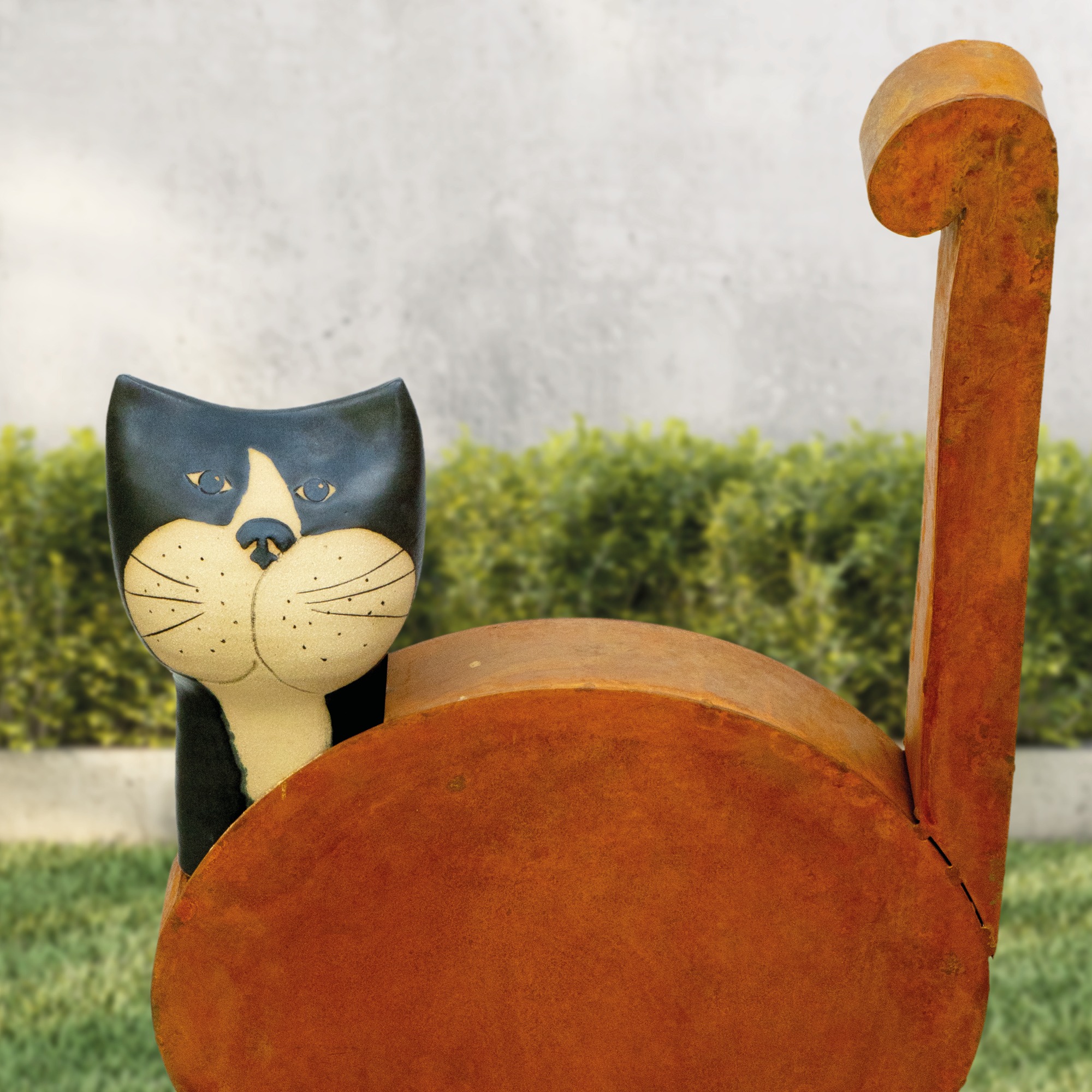 Kater Carlo