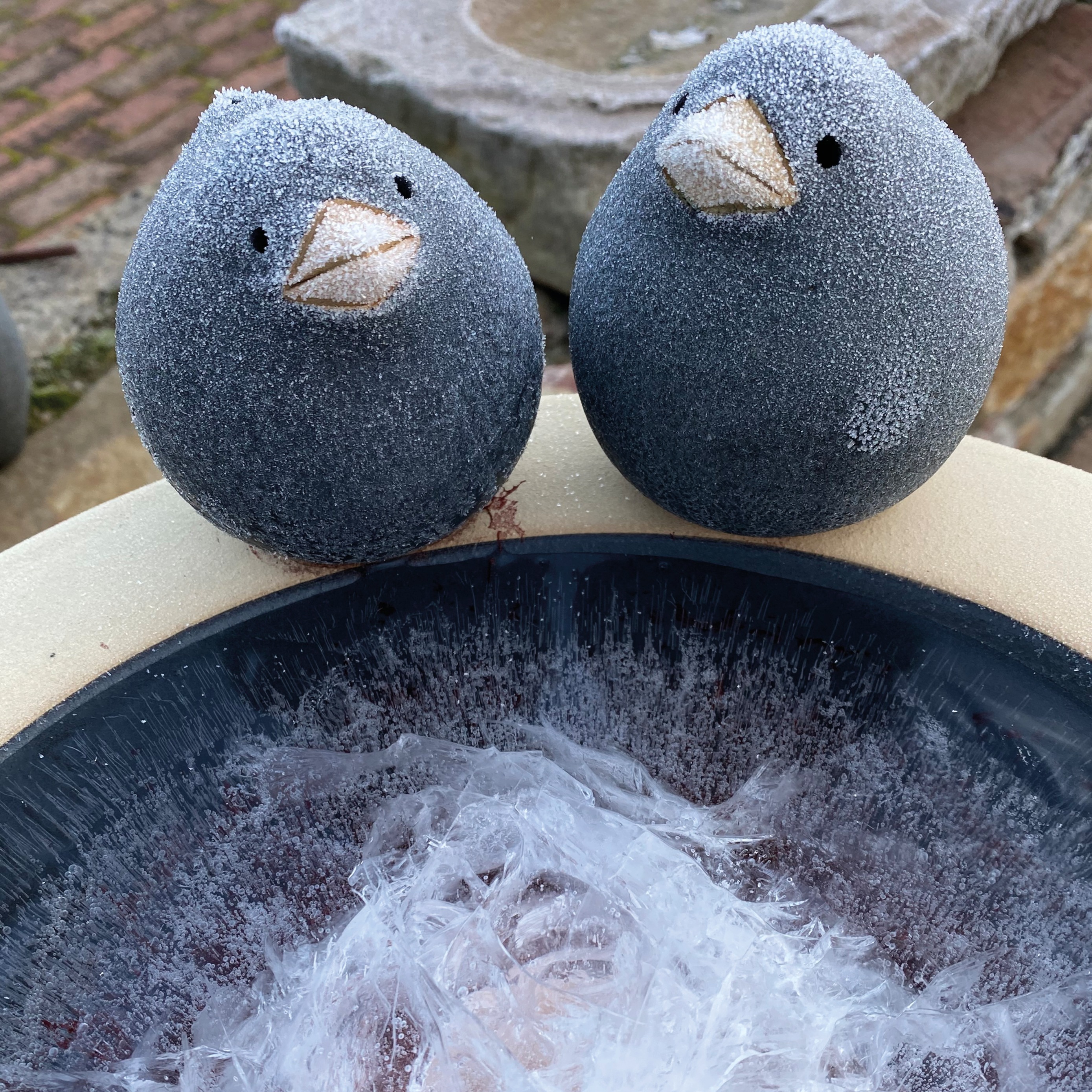 Vogel & Tränke Groß