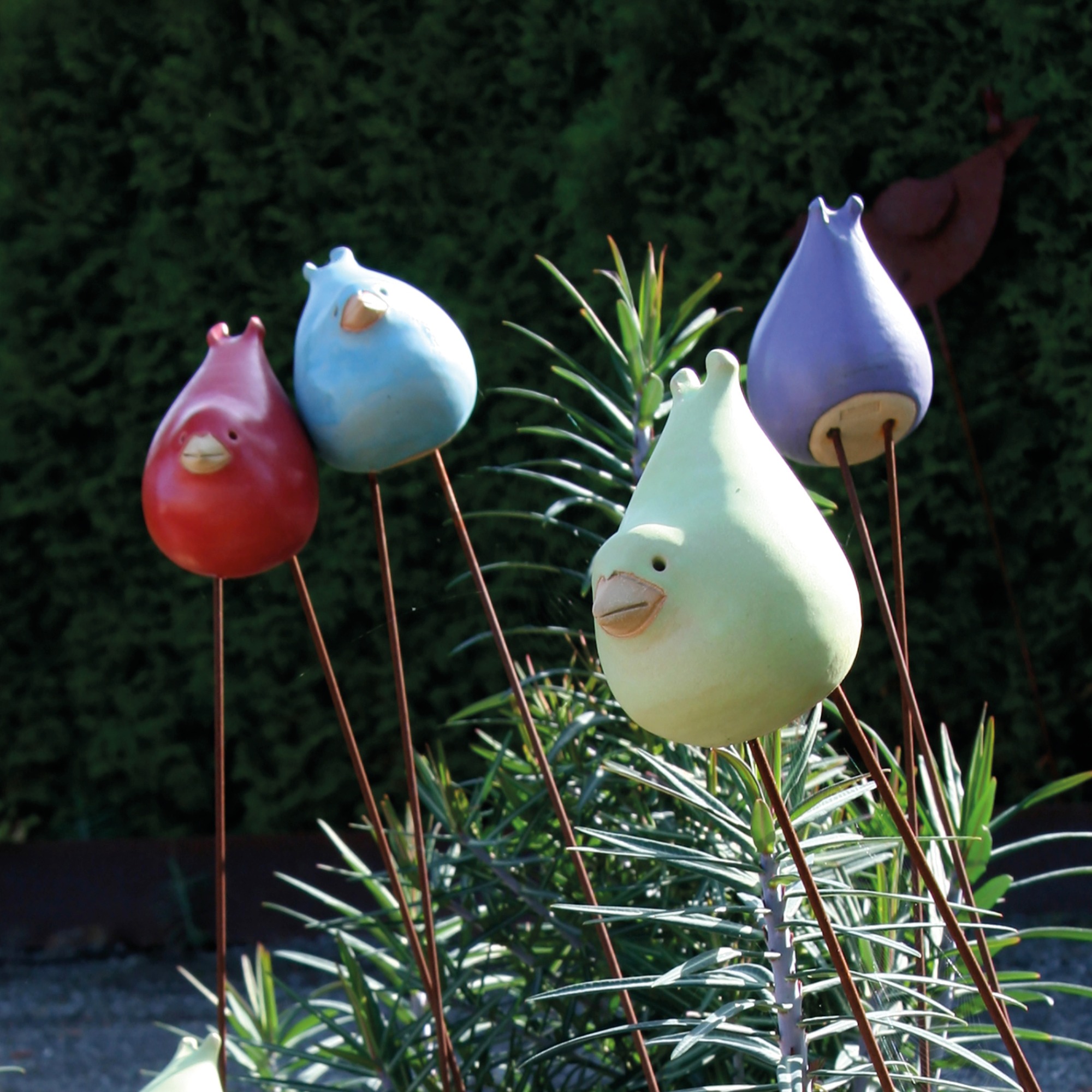 Bunte Drossel