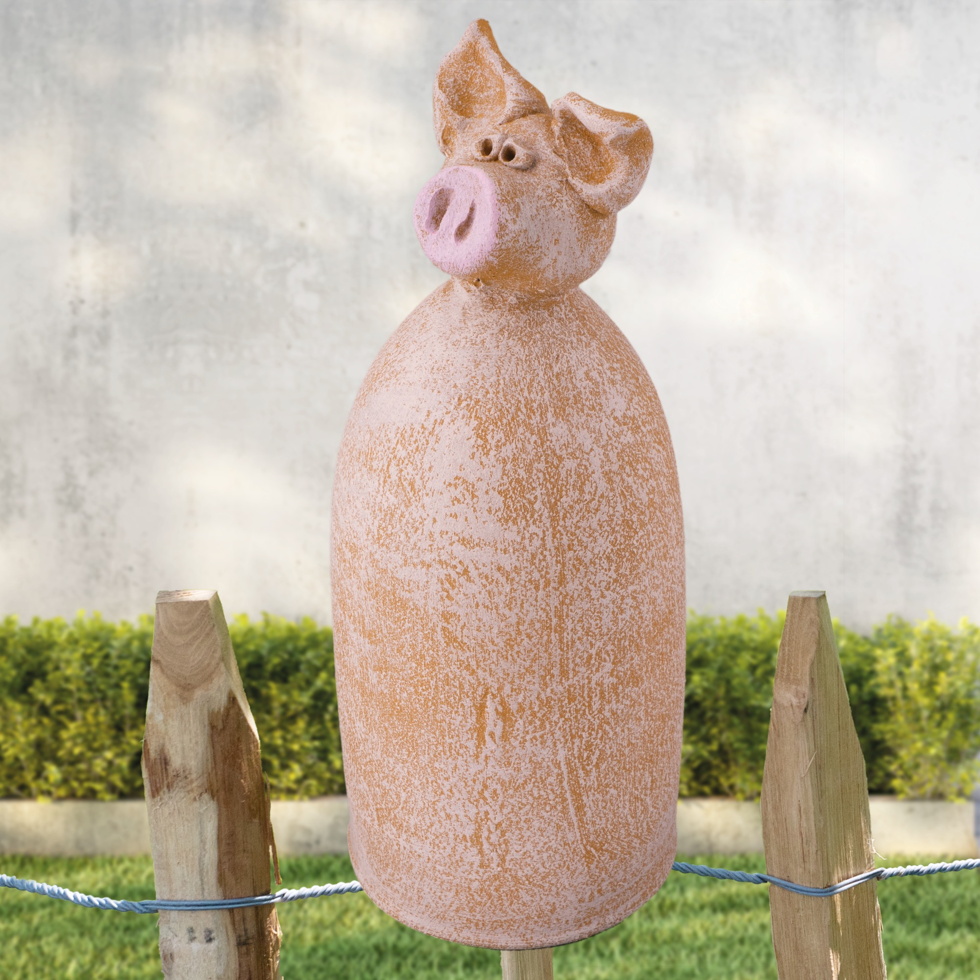Schwein „Chop Säu"