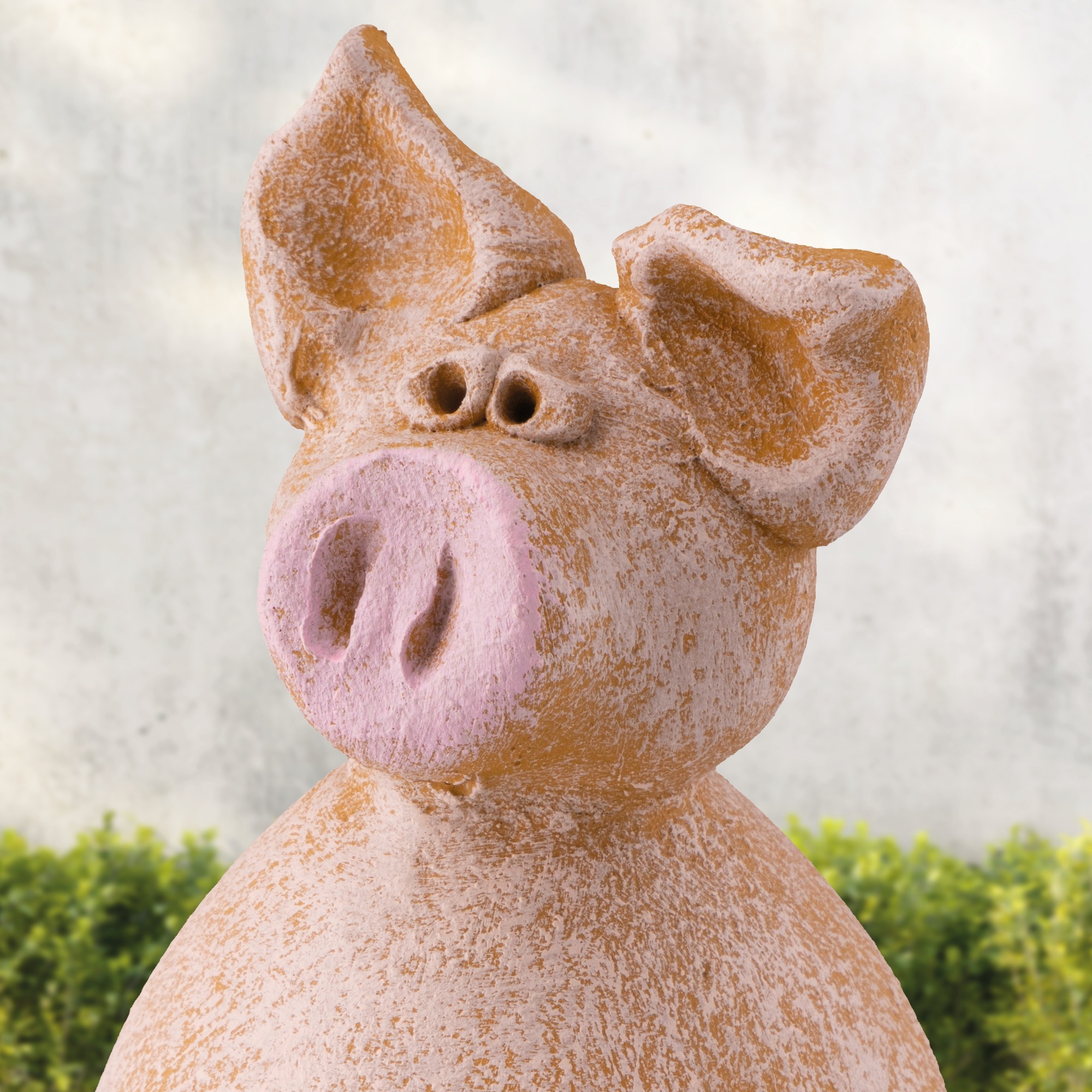 Schwein „Chop Säu"