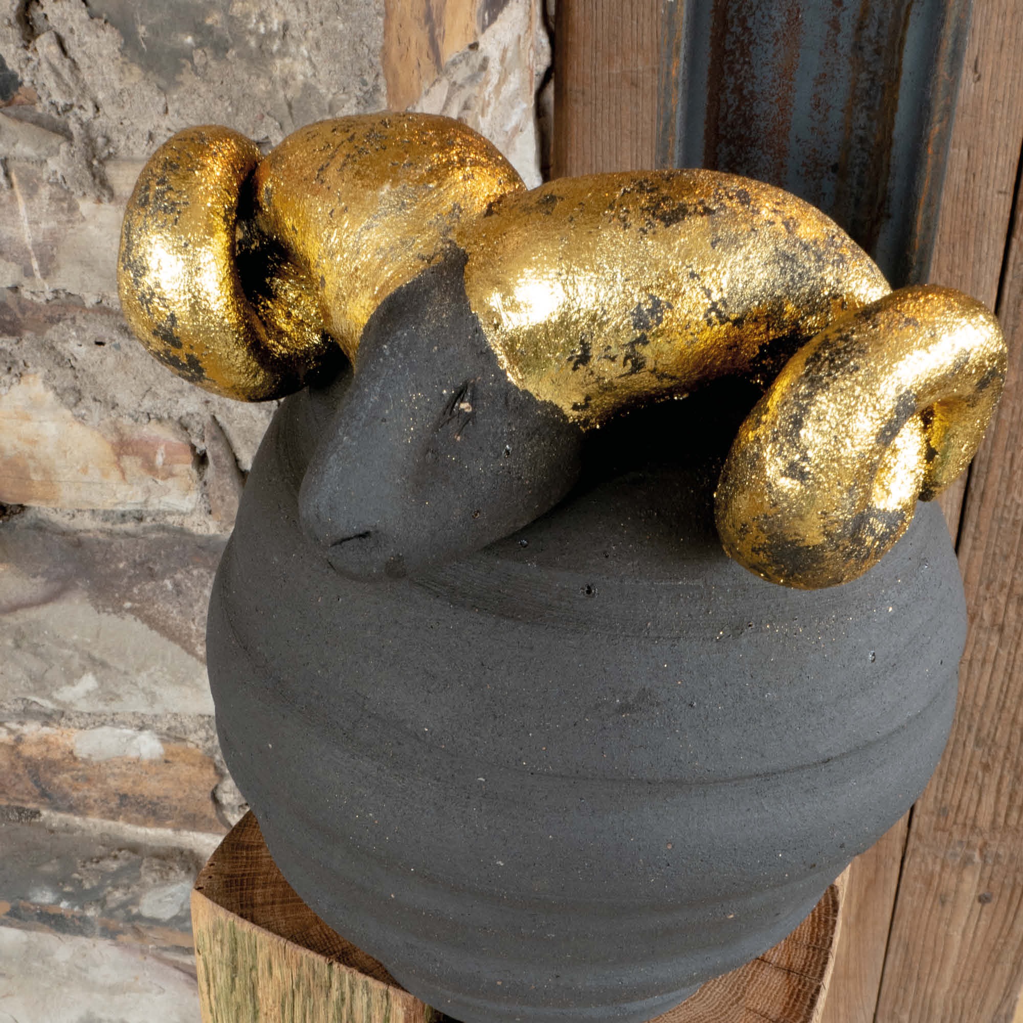 Hauswächter Widder II