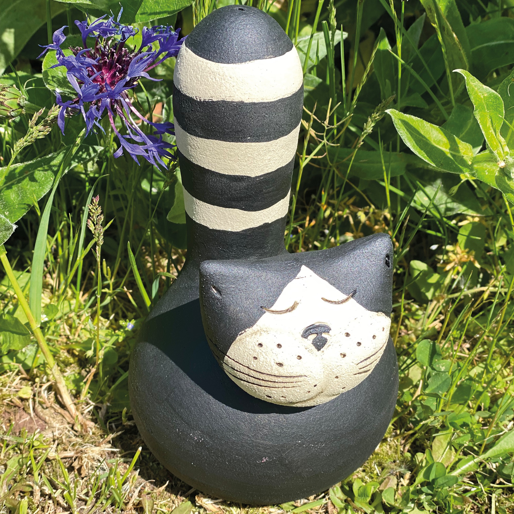 Katze Fussel