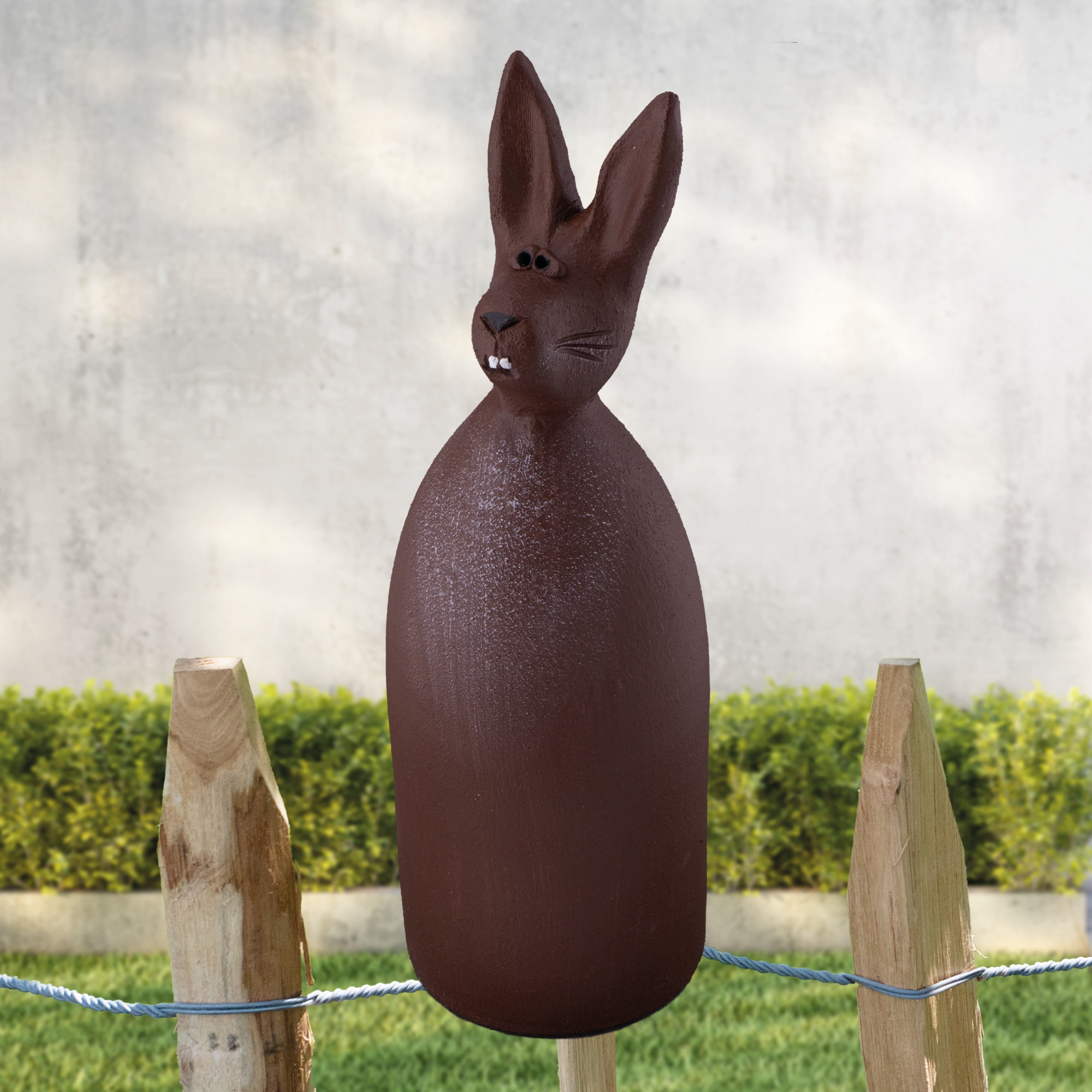 Hase 2 „Wally Nuss"