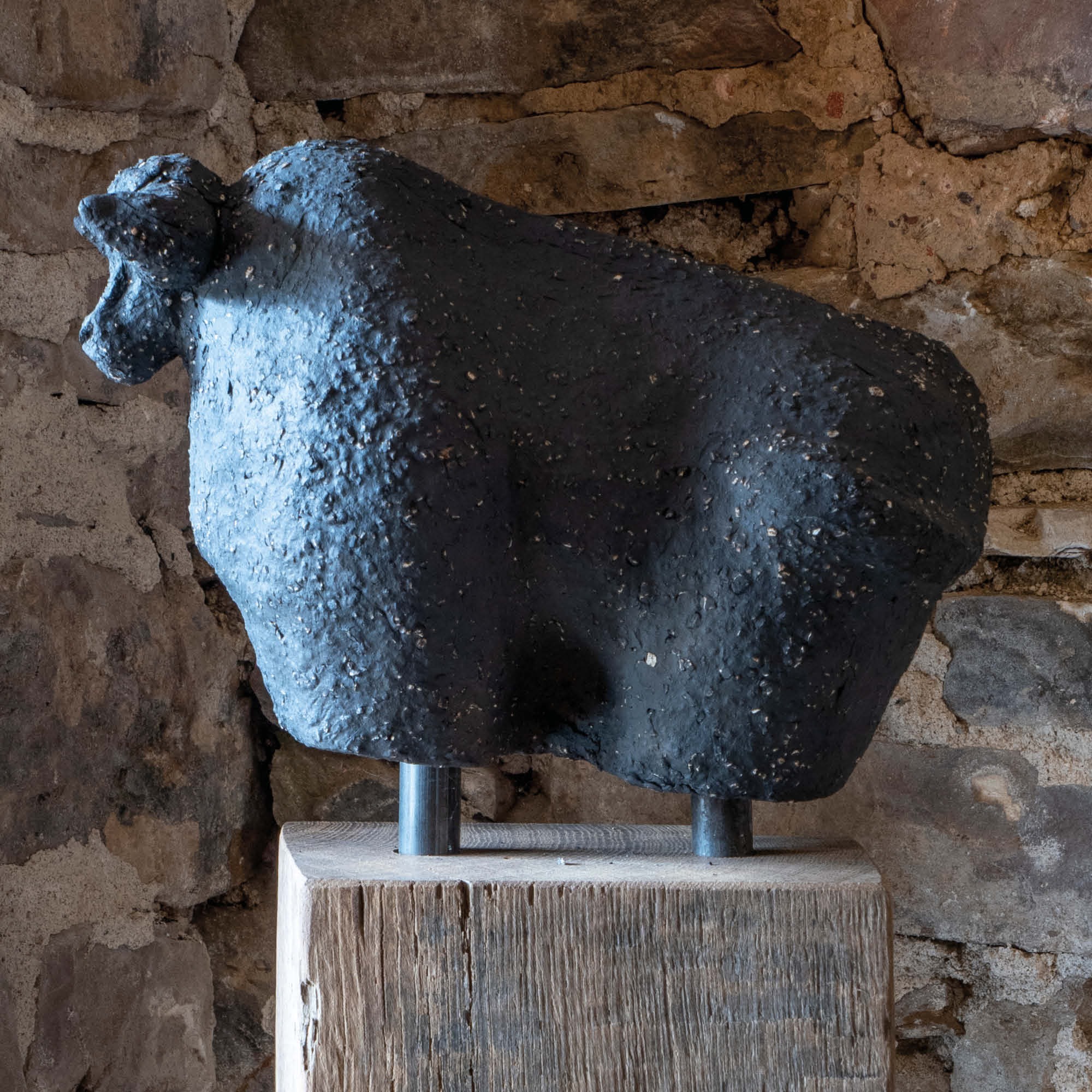 Hauswächter Stier