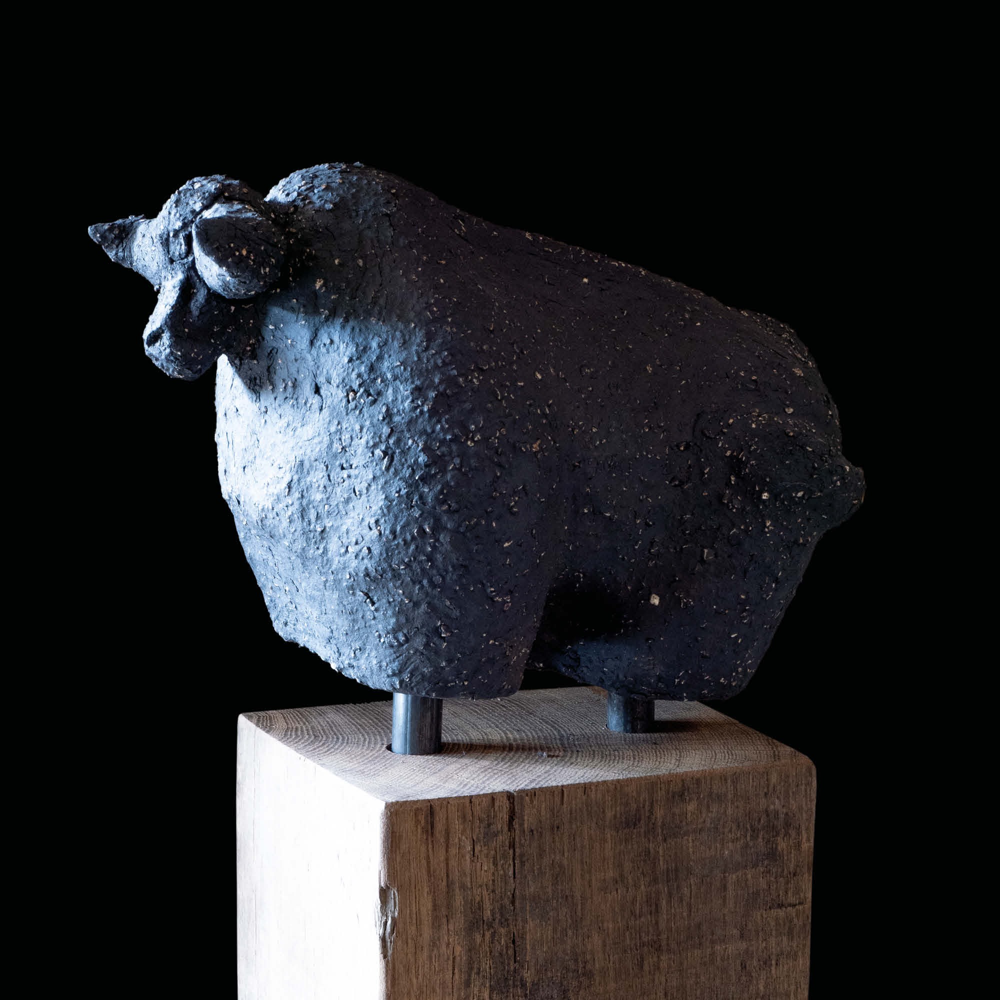 Hauswächter Stier