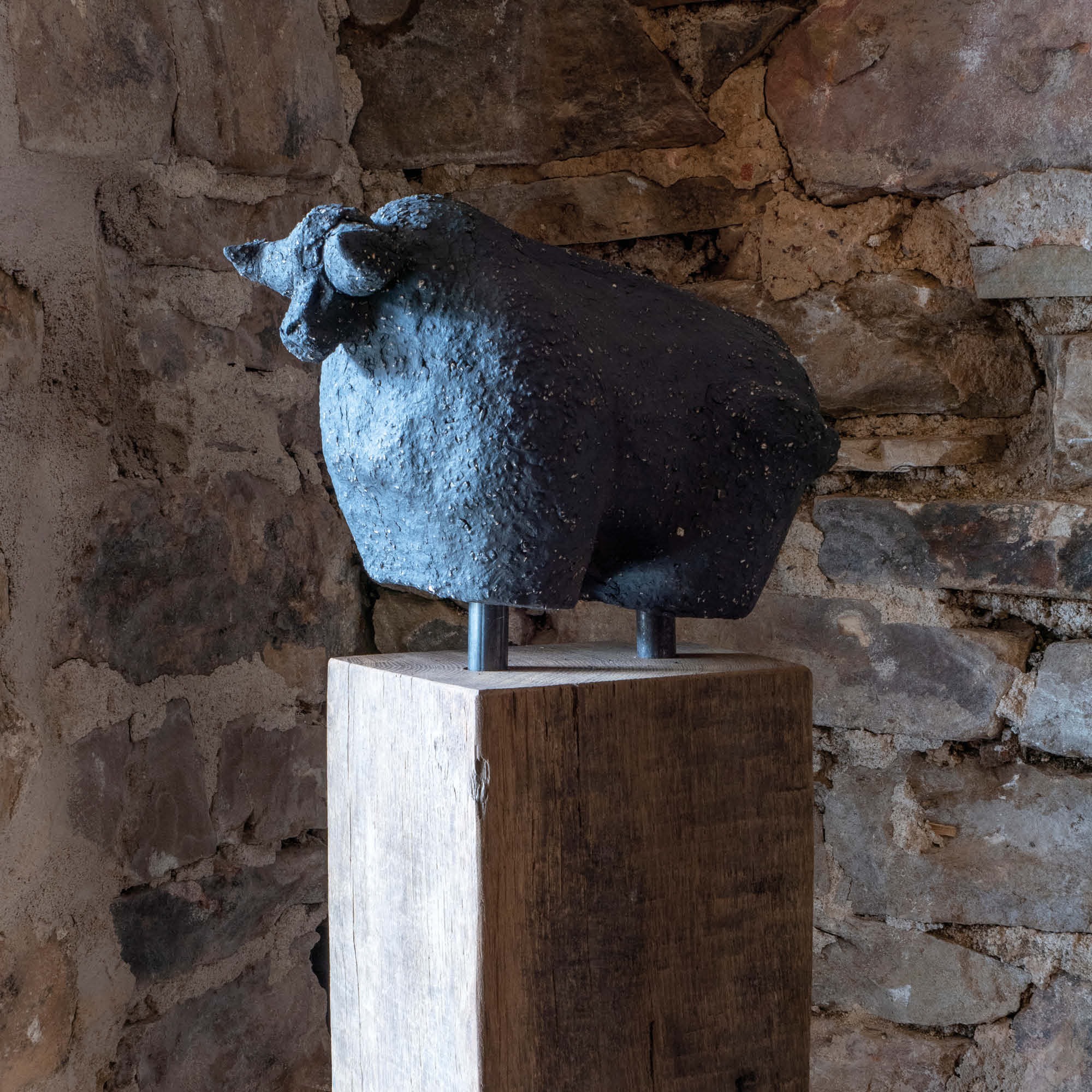 Hauswächter Stier