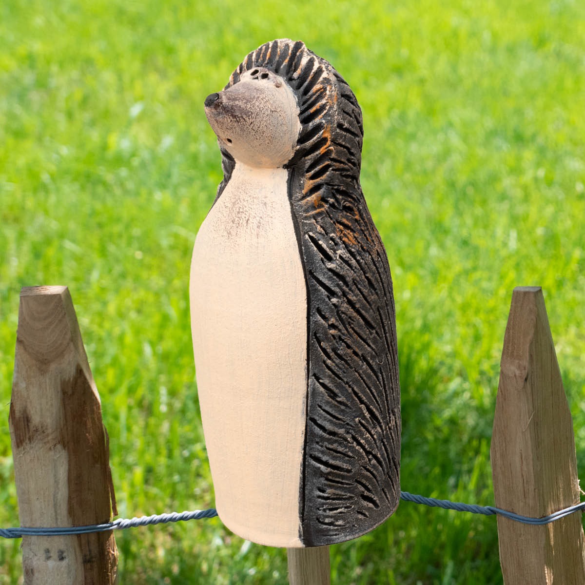 Igel Hecki