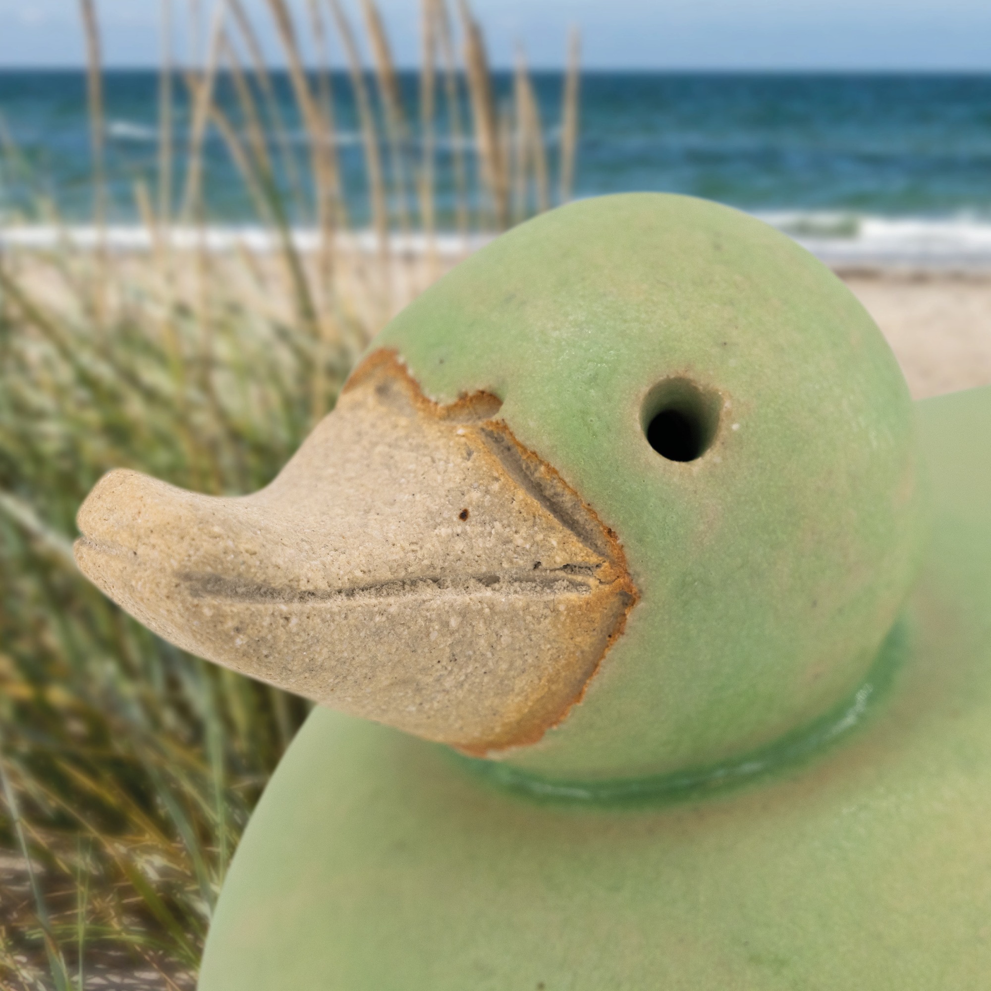 Ente Vorausschauend