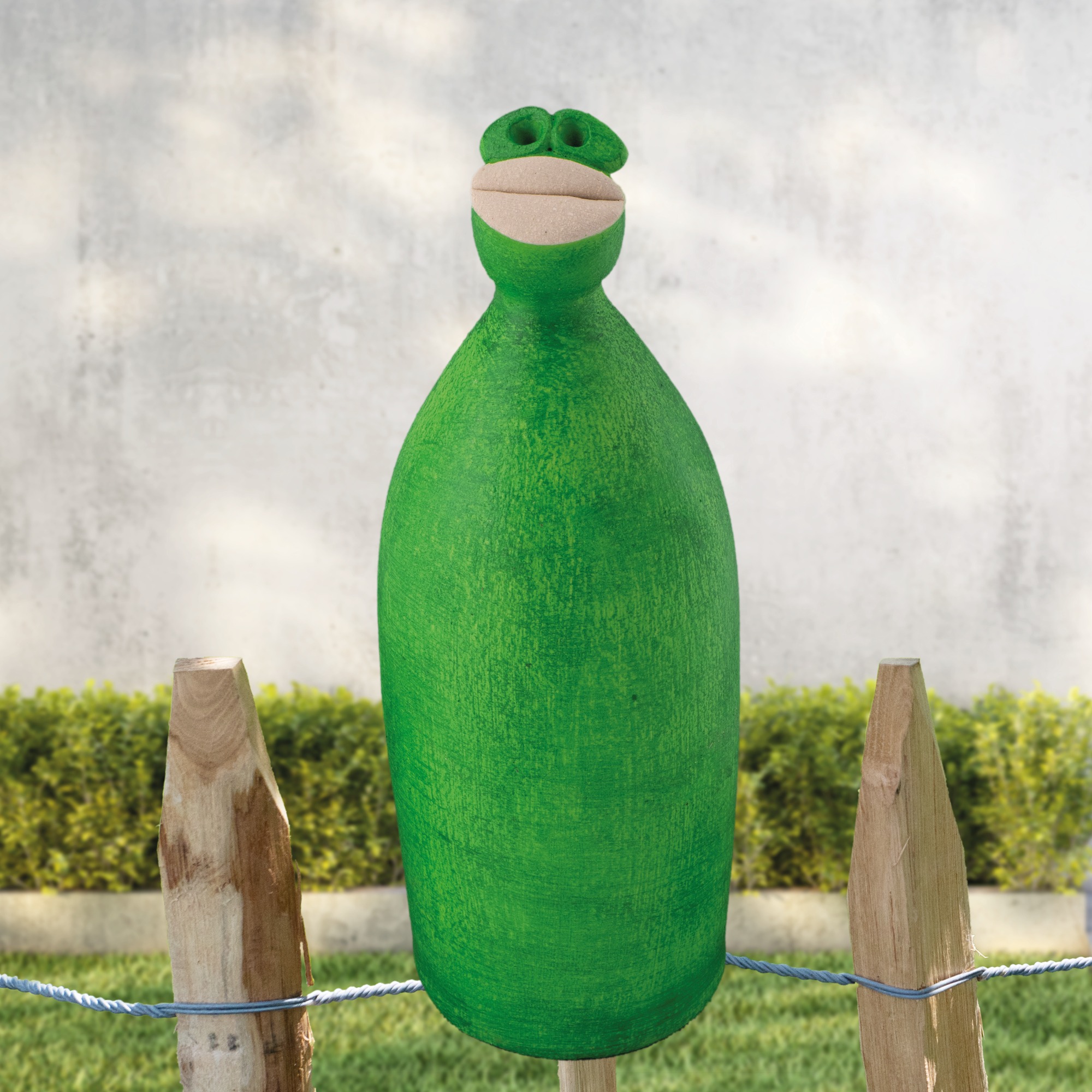 Frosch „Freddy Frog”